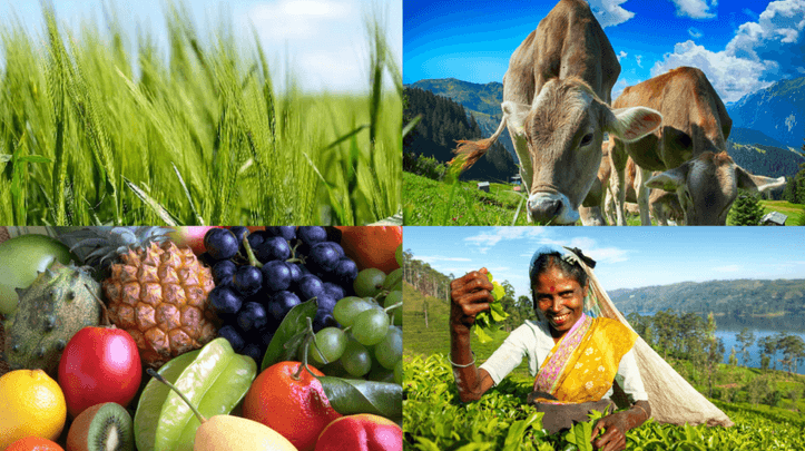 Agriculture & Food Security